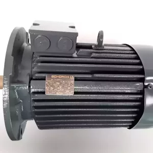 Electric motor (Schorch)