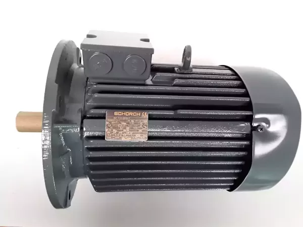 Electric motor (Schorch)